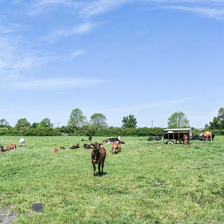 Green Acre Farm Ely Exterior photo